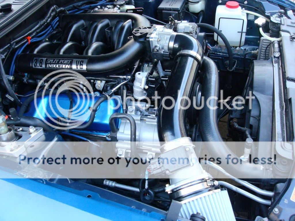 EGR delete!? Mustang Evolution Forum